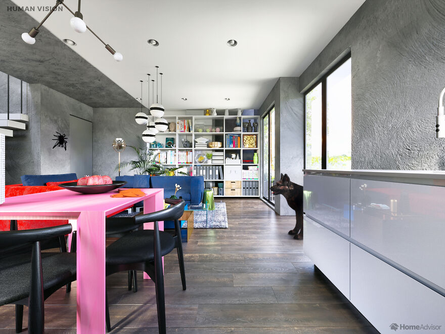 Here's How These 7 Pets See The World Around Them Here's How These 7 Pets See The World Around Them