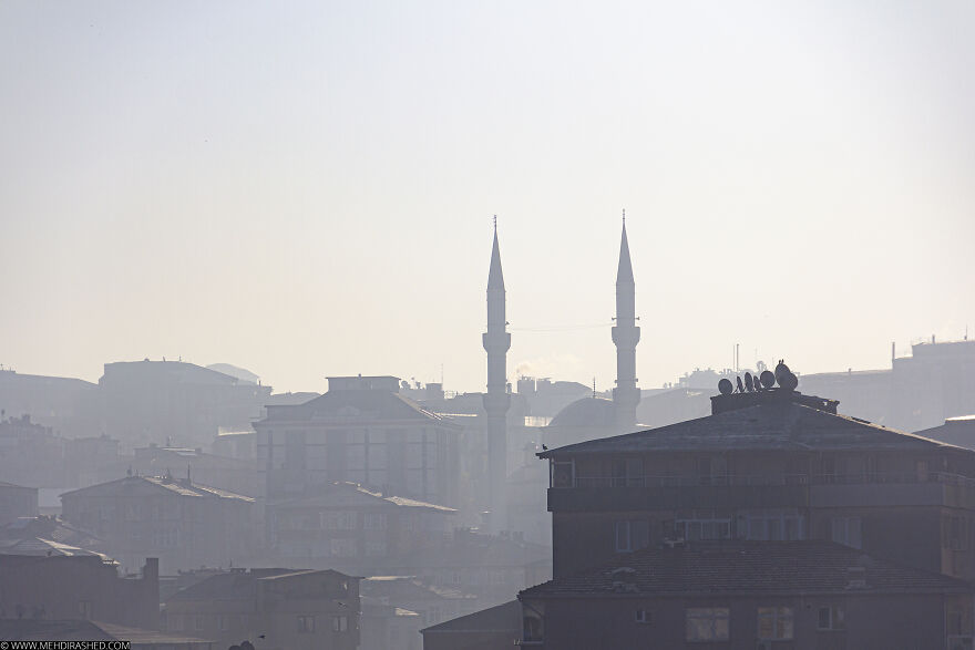 It Gets Quite Eerie When The Sky Is Clear In The Morning But It's Foggy Everywhere!