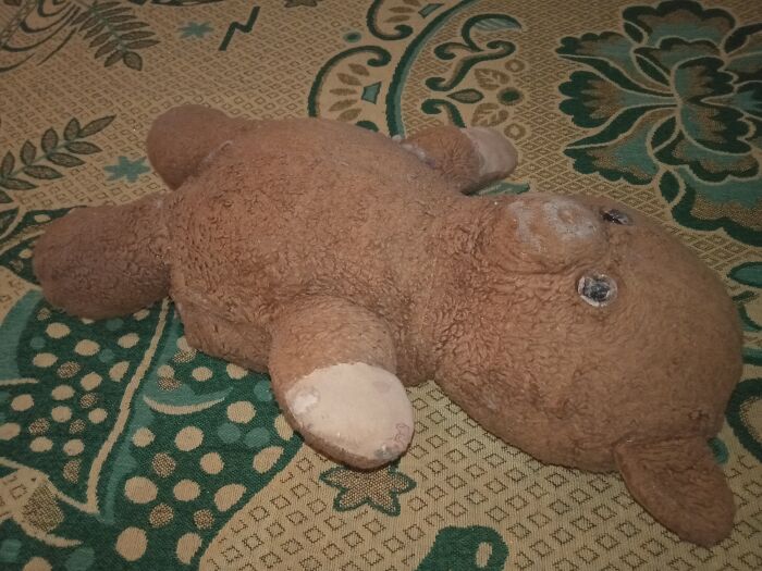 His Name Is "Mimim" And He's 32 Years Old