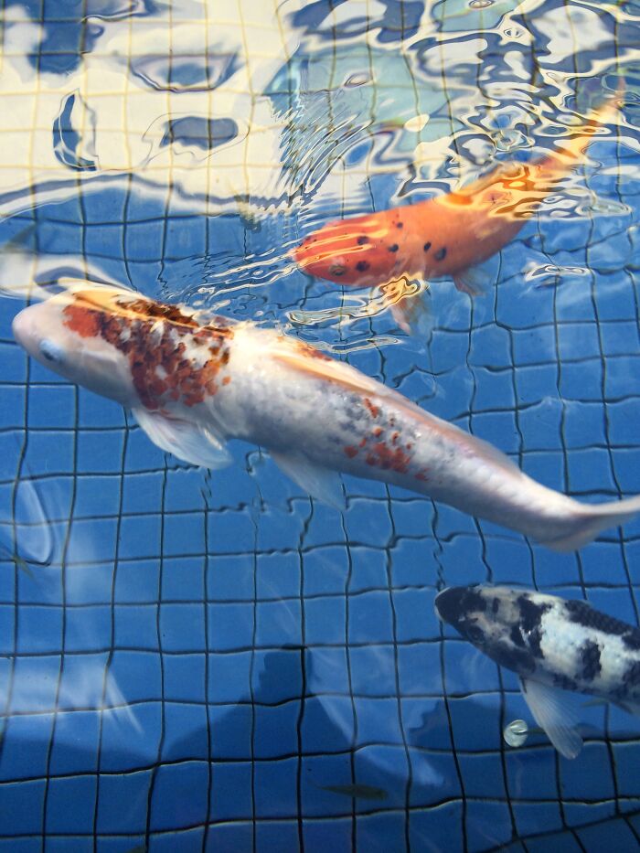 Took This Years Ago, And My Friend At The Time Made It Her Phone's Wallpaper