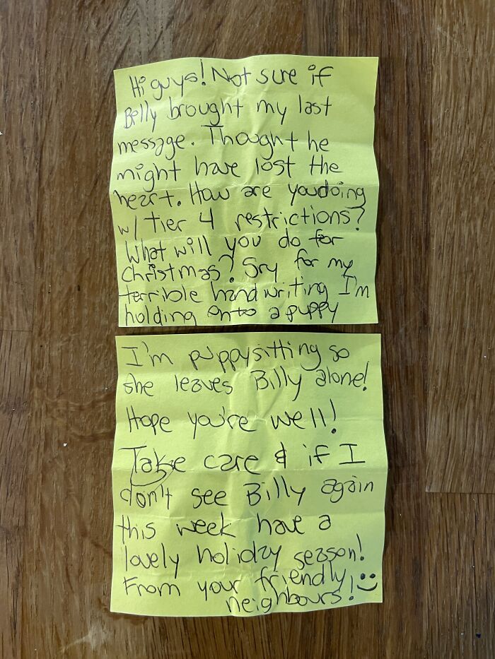 Cat Brings Its Parents A Note From The Neighbors He Visits, They Become Pen Pals With The Cat As Their Postman Cat Brings Its Parents A Note From The Neighbors He Visits, They Become Pen Pals With The Cat As Their Postman