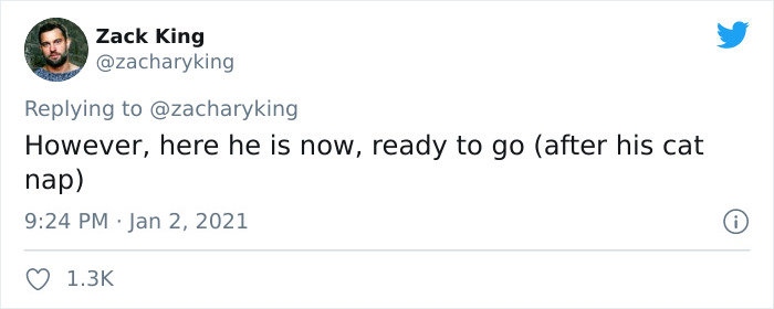 Cat Brings Its Parents A Note From The Neighbors He Visits, They Become Pen Pals With The Cat As Their Postman Cat Brings Its Parents A Note From The Neighbors He Visits, They Become Pen Pals With The Cat As Their Postman