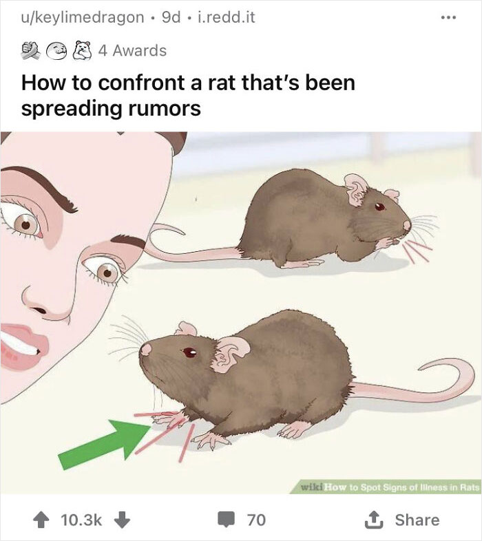 WikiHow image edited with a humorous caption about confronting a gossiping rat.