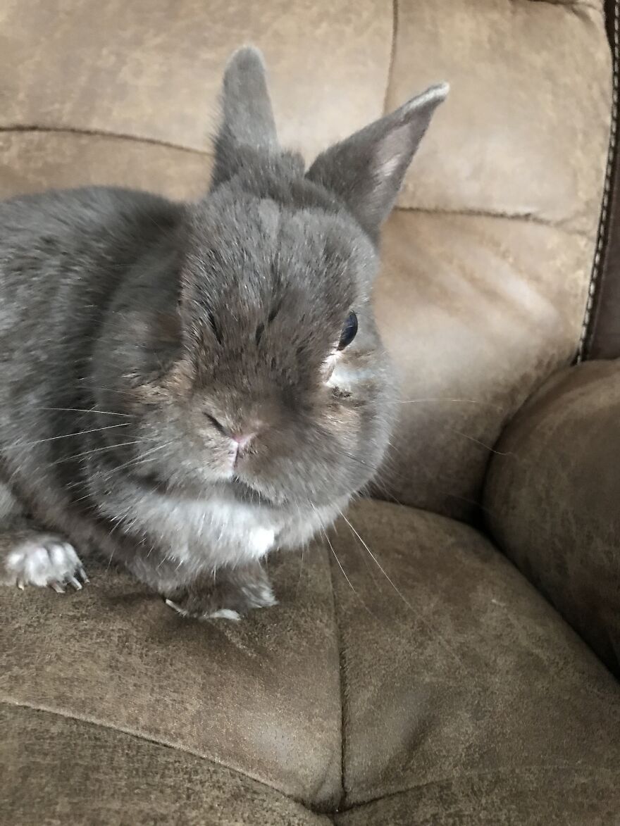 Thought You Guys Might Like Some Cute Animals :) Thought You Guys Might Like Some Cute Animals :)