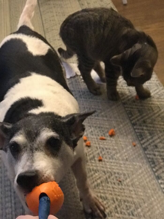 Playing And Making A Mess