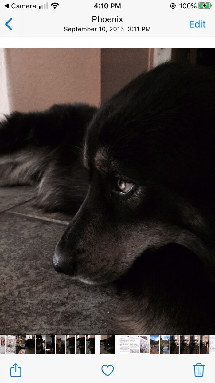 Perfect Highlight...