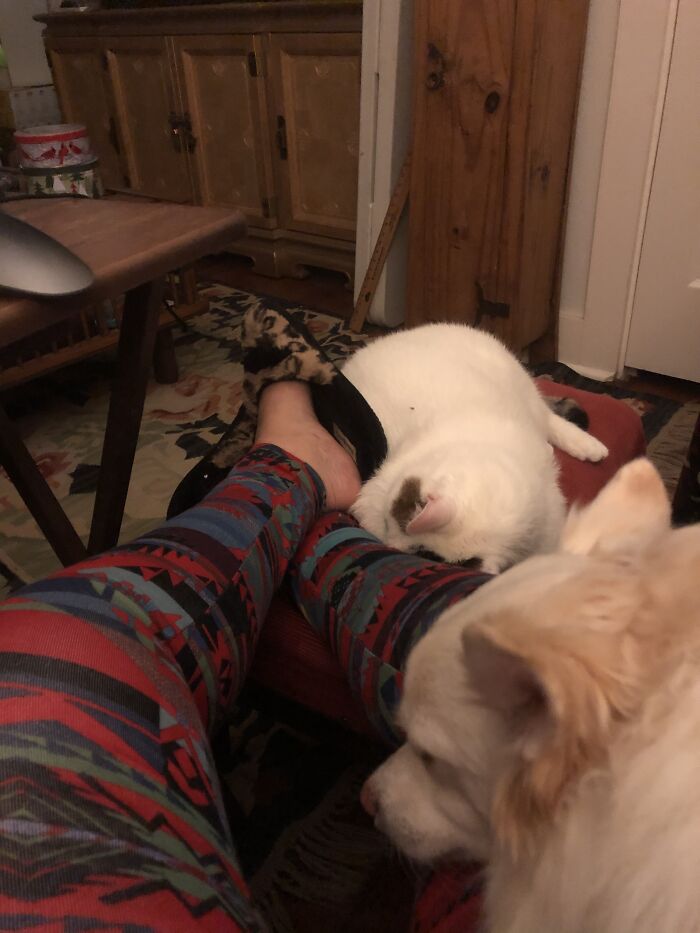 I’m Closer Bookend Babies