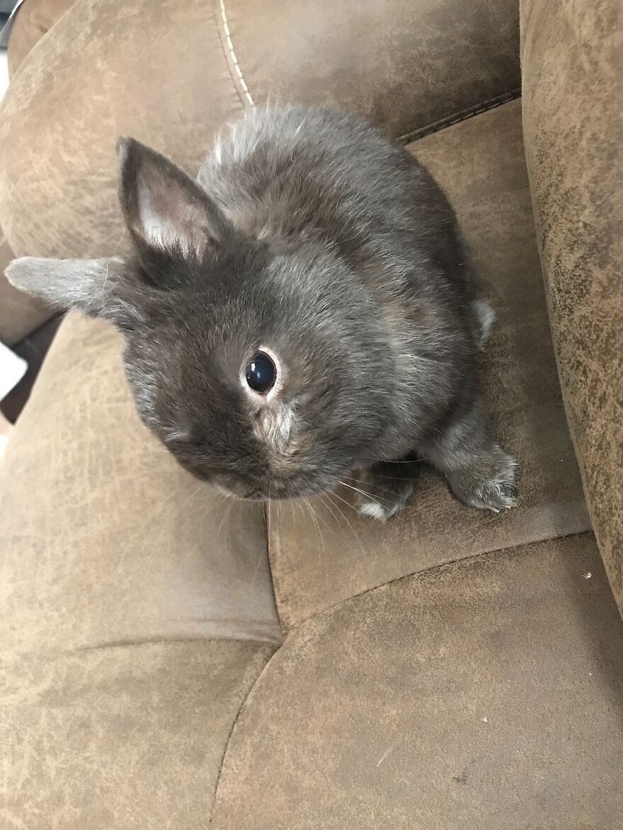 Thought You Guys Might Like Some Cute Animals :) Thought You Guys Might Like Some Cute Animals :)