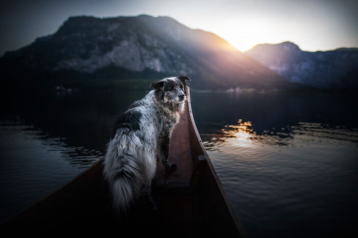 One Way Ticket To Paradise - I Will Take You On A Little Journey