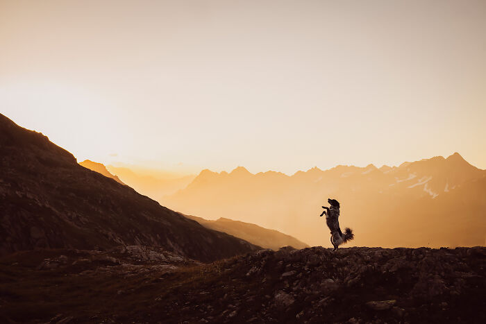 One Way Ticket To Paradise - I Will Take You On A Little Journey