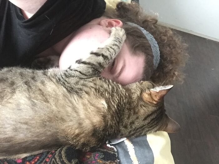 “He’ll Cry And Complain For Hours”: 18-Year-Old Cat Cries If His Sweater Is Taken Off