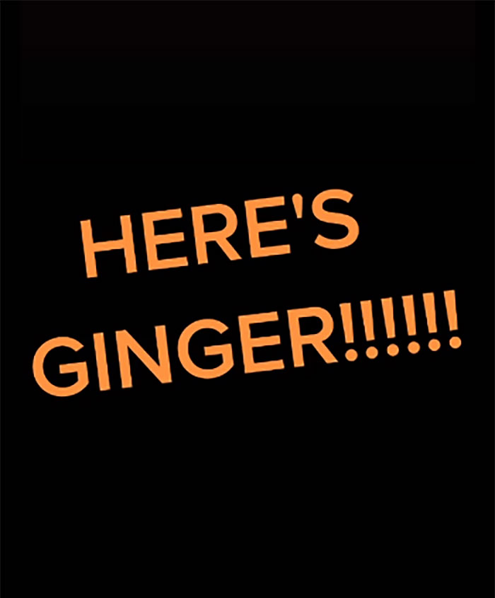 Woman Says She Always Wakes Up Tired, Sets Up A Camera To Witness Her Cat Constantly Tapping Her Body For 4 Hours Straight Woman Says She Always Wakes Up Tired, Sets Up A Camera To Witness Her Cat Constantly Tapping Her Body For 4 Hours Straight