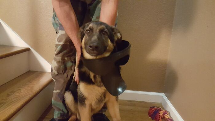 I Wasn't Eat Trash, I Swear