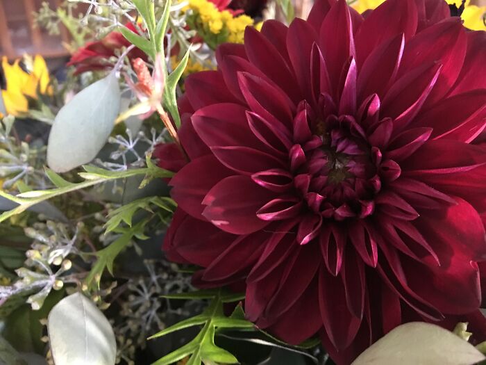 This Is A Real Flower