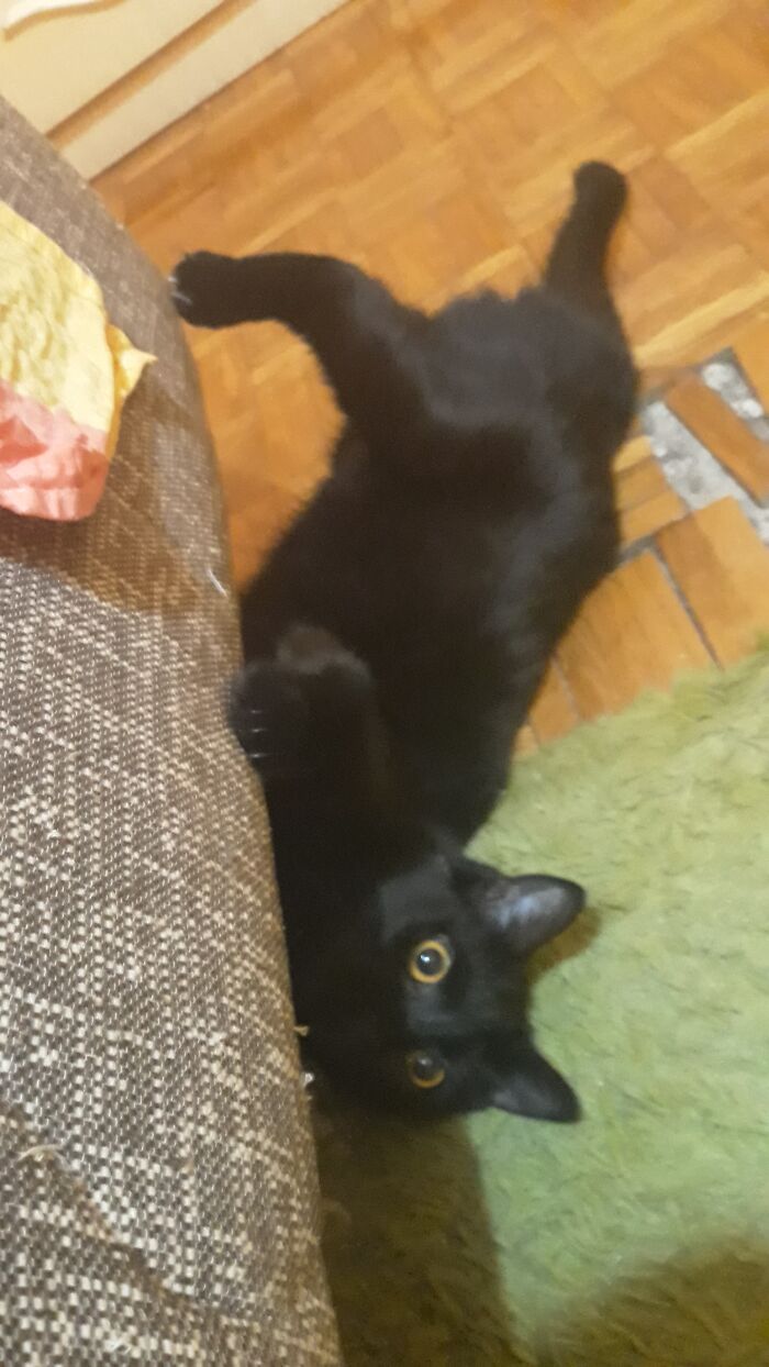 This Is Why We Can't Have Nice Things