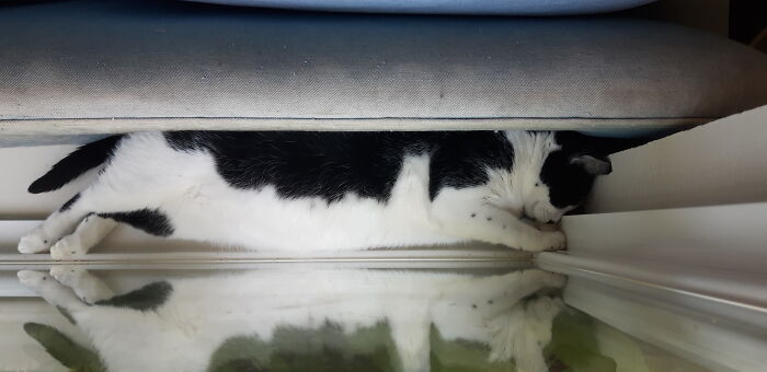 Everest Behind The Couch