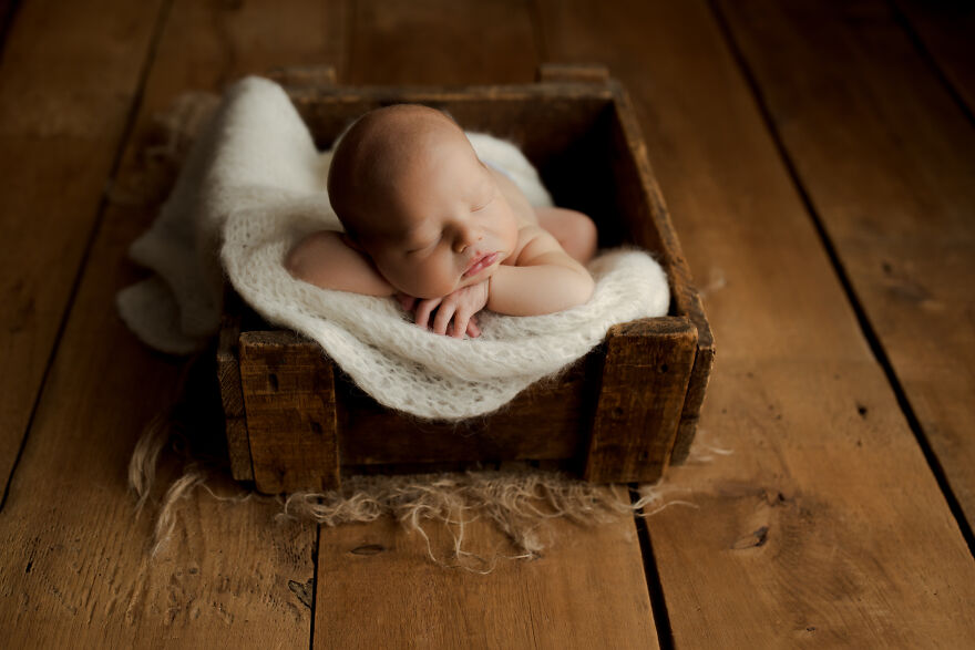 Newborn Babies In Chicagoland Newborn Photo Studio