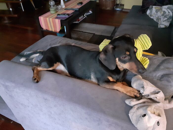 # 11. High Enough To Control What Is Going Around