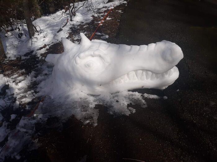 Used Almost All The Snow In The Yard. Worth It