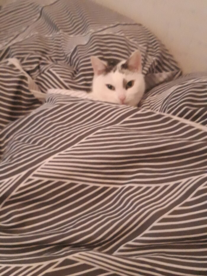 Waiting For Me Until I Go To Bed