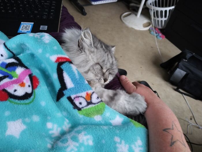 Peanut Hates Her Pics Taken