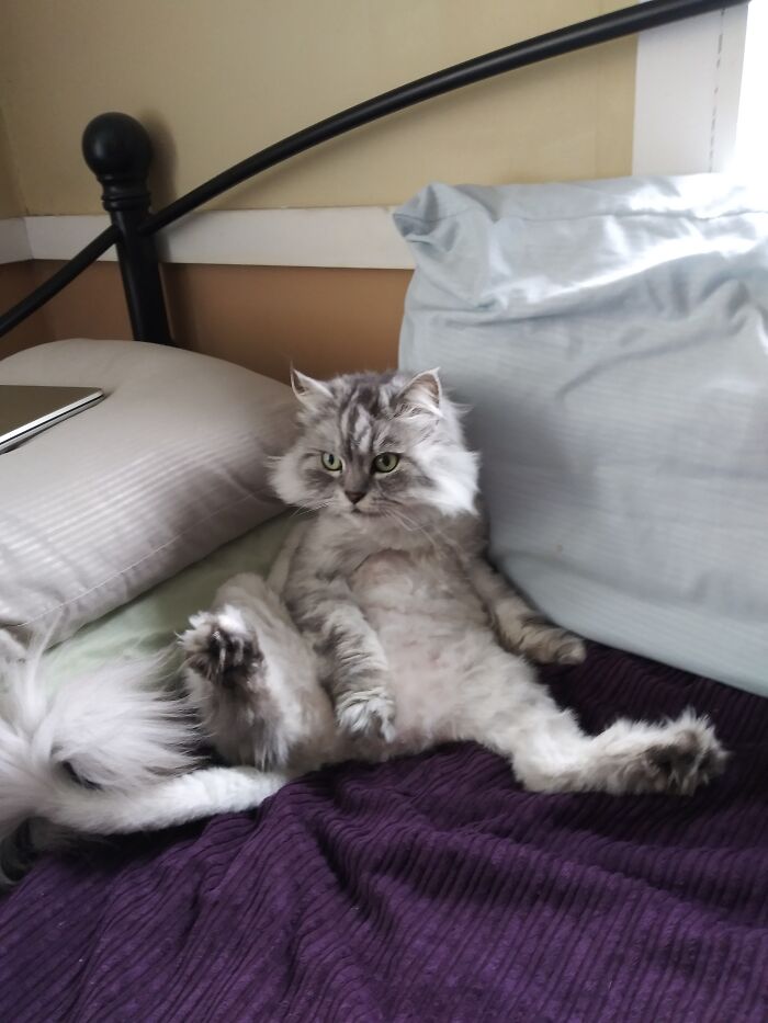 This Is Peanut I Couldn't Choose Just One I Have So Many