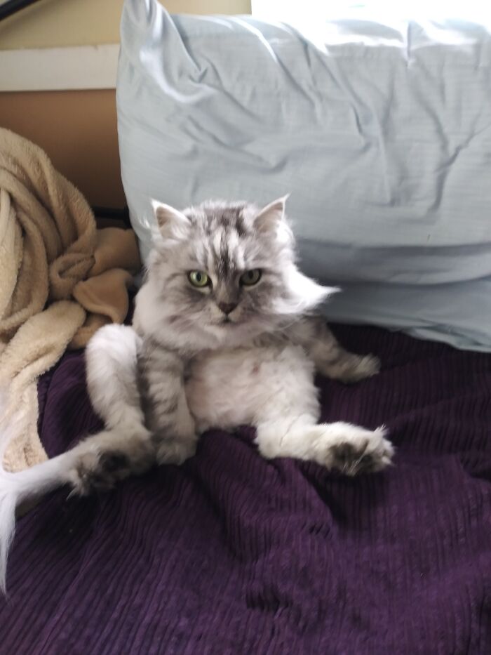 Sorry For The Second Post I Was Interrupting Her Bath