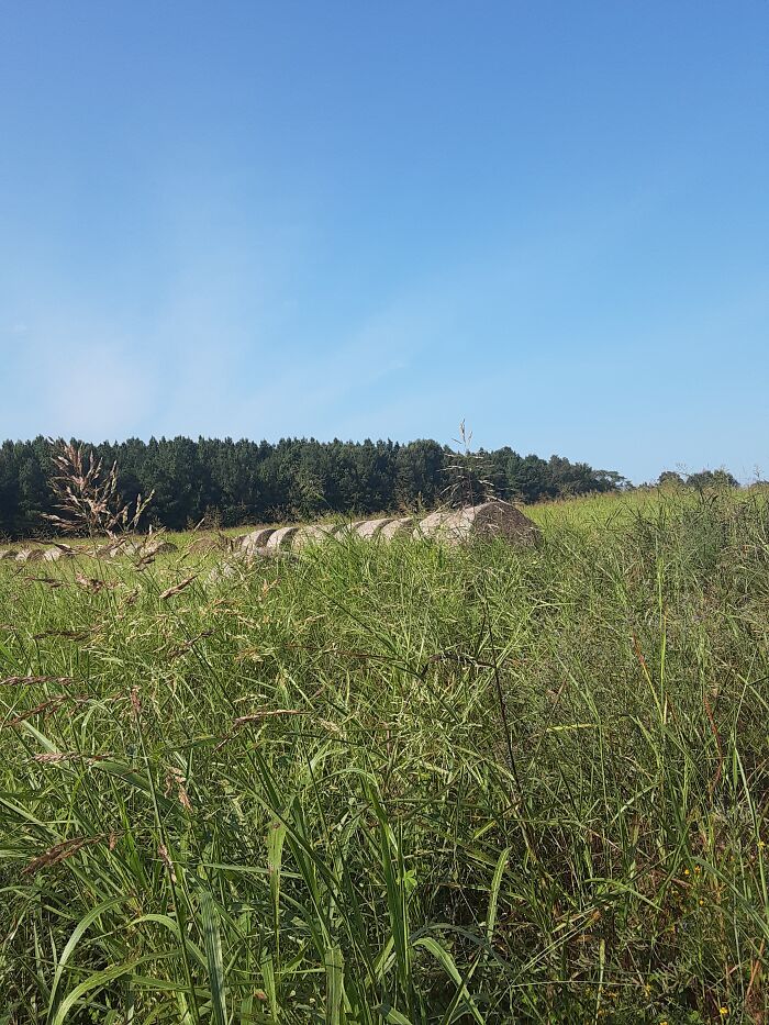 Our Fields In The Country