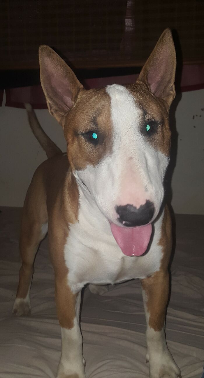 My Sweet Boy Sooo Happy