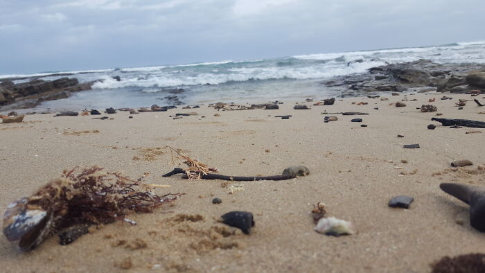 Beach Photo Taken With My Phone