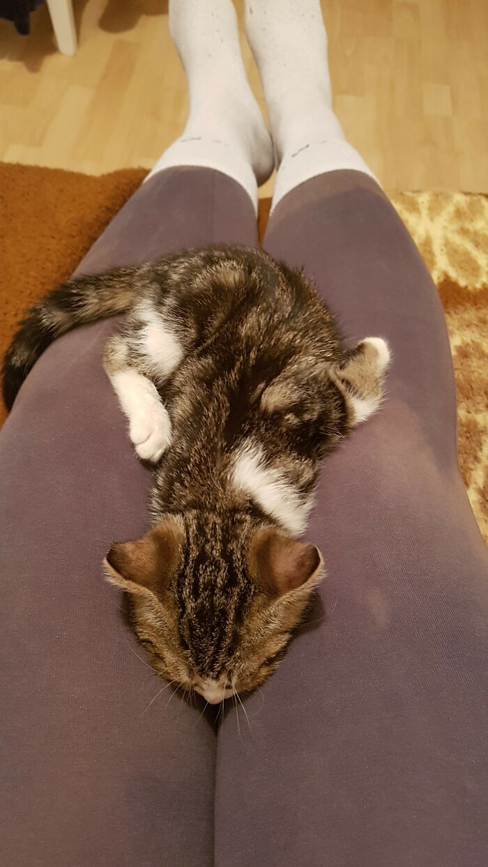 This Is How Oliva Slept When She Was Little Girl.