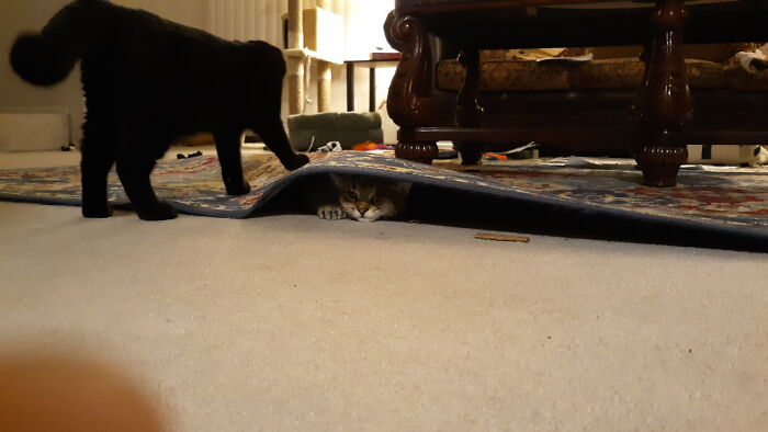 Must Explore Every Possibility