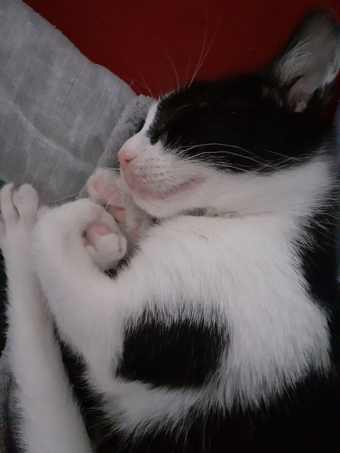 She Was Smol And Very Cute.