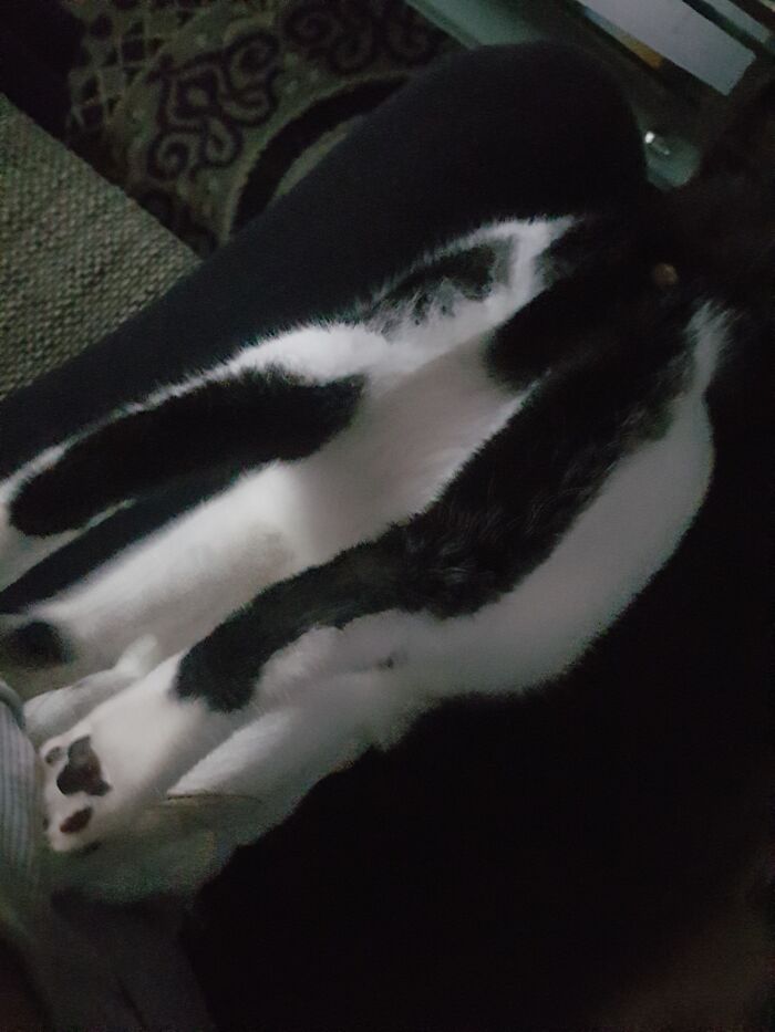 What Are You Talking About?