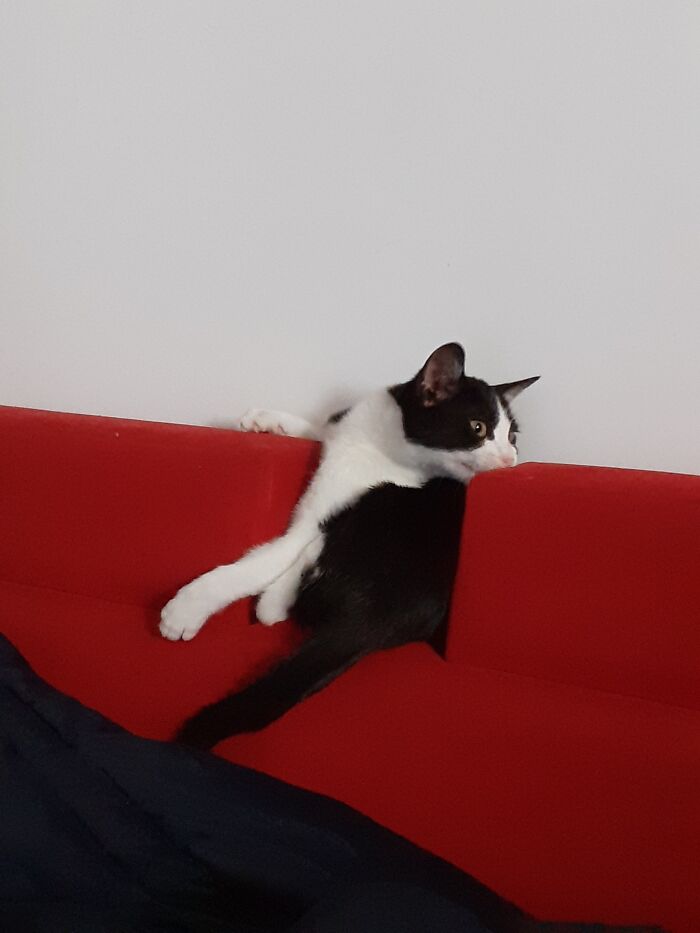 She Was Broken When She Was Small.