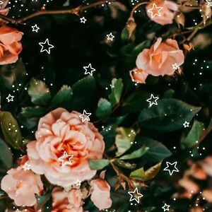 kimberly-r-kleist avatar