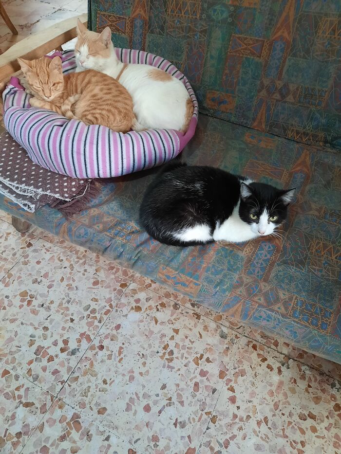 Sono I Miei Figli🥰🥰