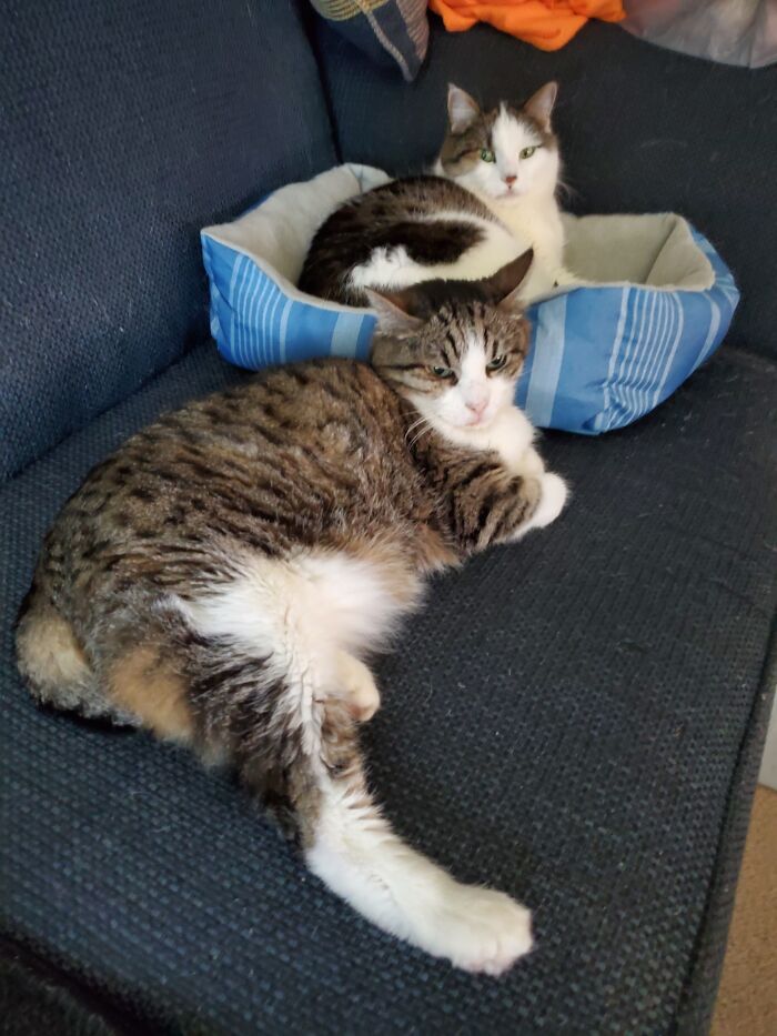 We're Taking Over The Couch!