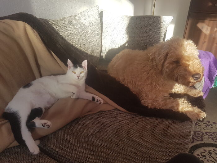 My Girls. I Woke Them From Their Nap Unfortunately