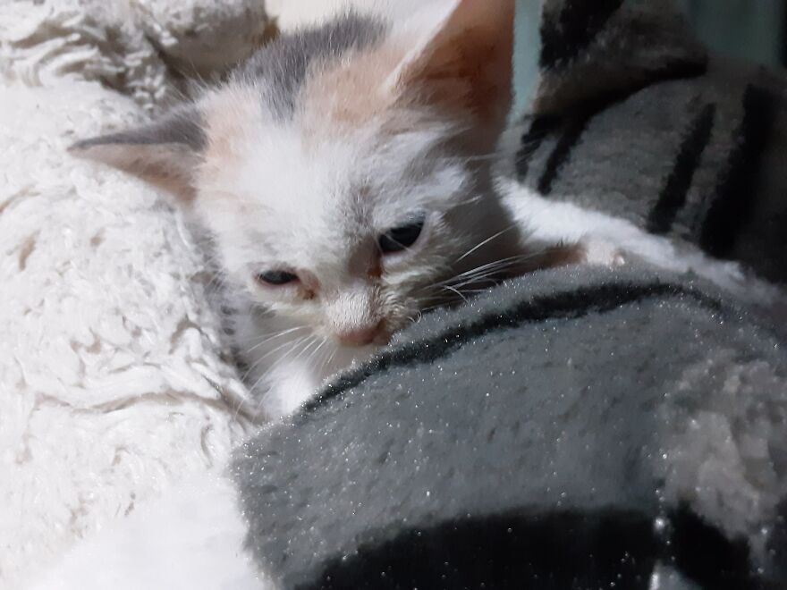 Macchi / Macchiato After Macchiato. You Can Tell What My Favorite Drink Is :)