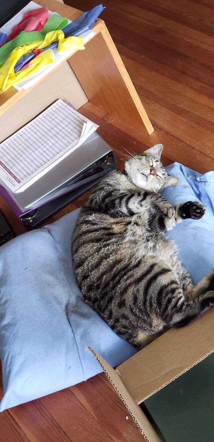 Toga Named After A Pokémon By My Daughter