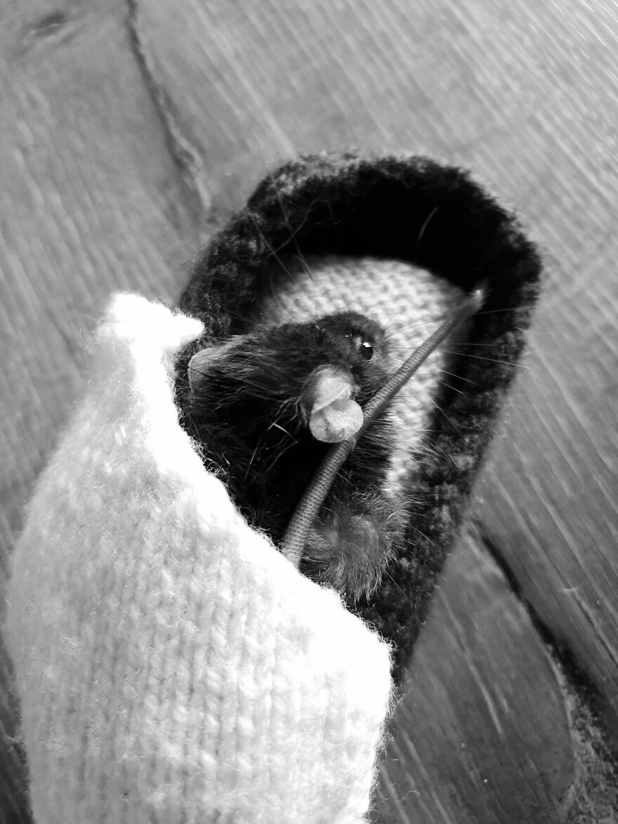 My Little Girl Pineapple! Photos Were Taken About Half An Hour Before She Died... Cancer Kills