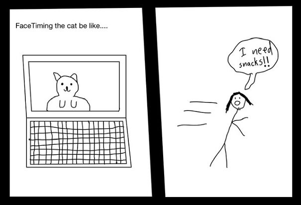 Some People Are Bad At This But Facetiming The Cat Is Always Great.