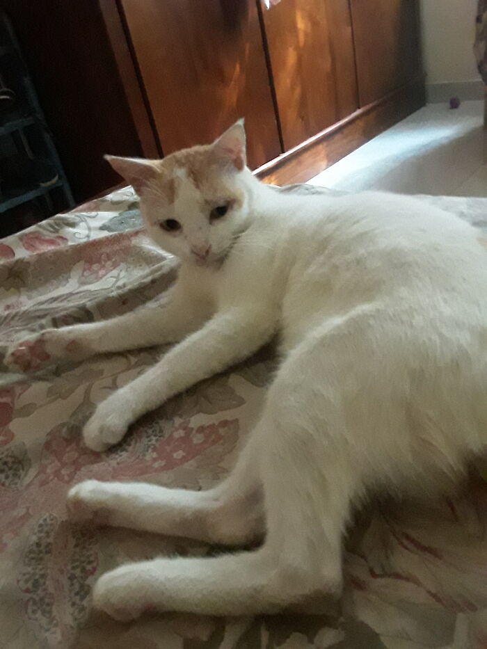 Having A Chat With Me