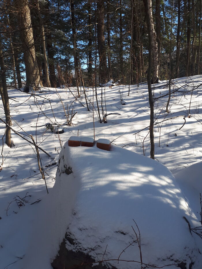 My 3 Sweeties Enjoying The Sun And The Snow... Passed On.
