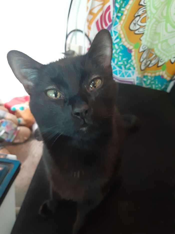 This Is Rez, Staring At Me Adoringly