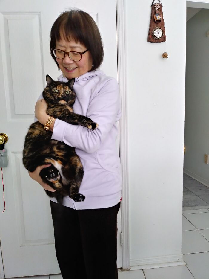 Permitting My Mom To Pick Her Up And Hold Her