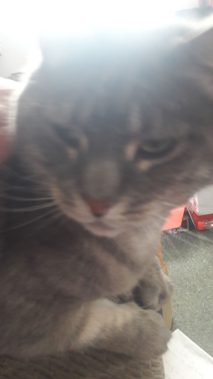 Why Did U Wake Me Up?