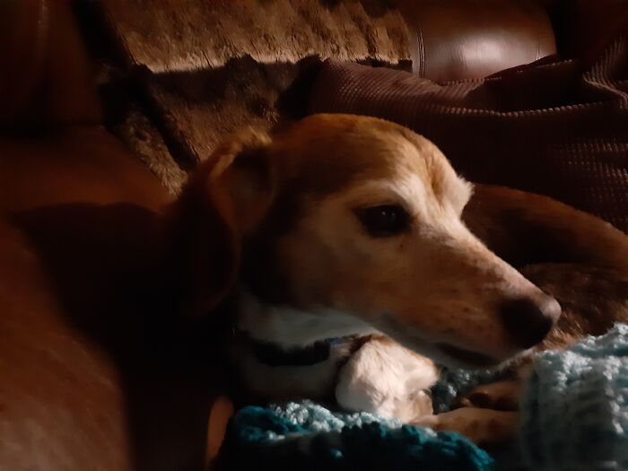 Watching The First 48