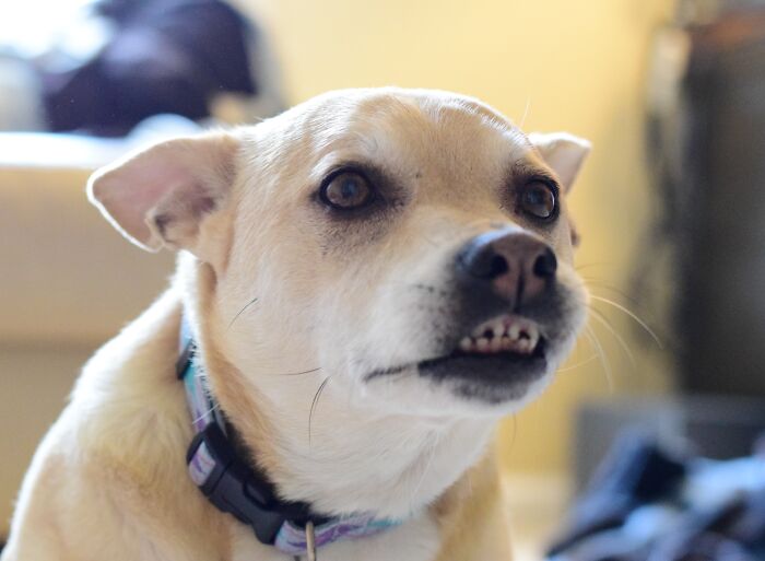 Whaddaya Mean? I Am Smiling!